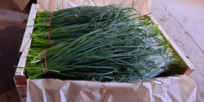 I will sell chives from the ground. Bunches or