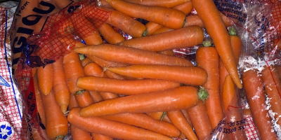 New carrots