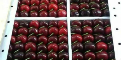 Sweet cherry from Uzbekistan. Delivery time: From 01/06/2022 untill