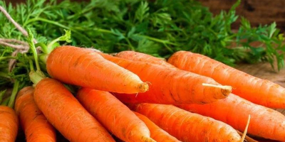 I am selling carrots very good for all kinds