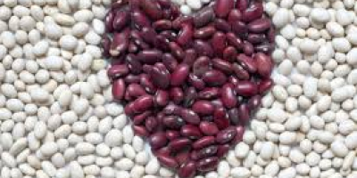 The Ukrainian company Beans Natur Product sells beans of