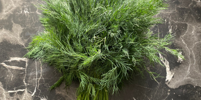 We have large quantities of fresh dill and parsley