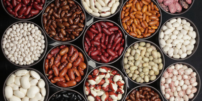 The company buys beans for processing. Any varieties and