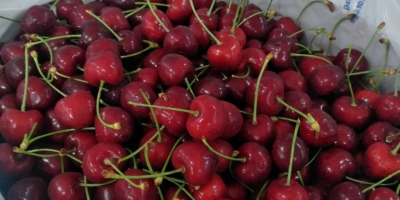 Dear Friends ,I offer you fresh cherry at compatative