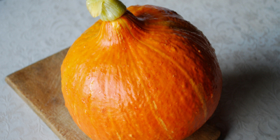 Organic Hokkaido pumpkin (Uchiki Kuri Red). Wholesale quantities. Negotiated
