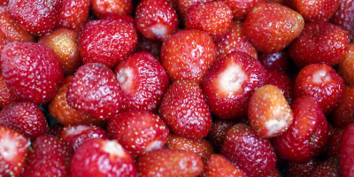 BUY FRESH FRUITS FRESH STRAWBERRIES, PRICE - CENY ROLNICZE, Agro-Market24