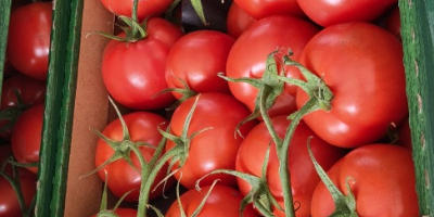 I will sell a tomato