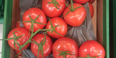 I will sell a tomato