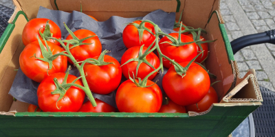I will sell a tomato