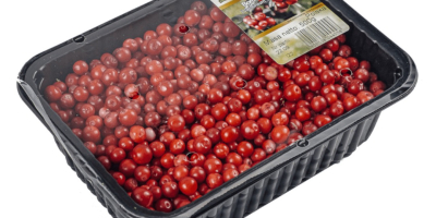 Fresh blueberries for sale in the season of 2022.