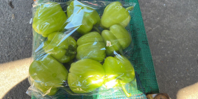 Krakow green pepper of Iran, Turkey, Uzbekistan The highest