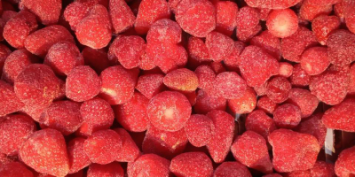 Frozen strawberries. Class A, B, Jam Raw materials used
