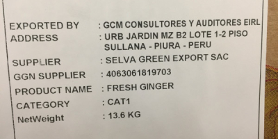 I will sell fresh Ginger. First class, packed in