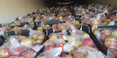 Exportăm mere către lanțuri de supermarketuri și importatori europeni.