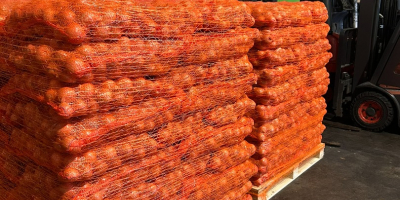 Wir liefern Kartoffeln und anderes Gemüse aus Polen (Kohl,