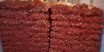 Мы предлагаем доставку картофеля и других овощей из Польши