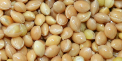 I will sell beans, millet with delivery! +380932170051