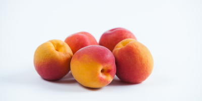 KYOTO apricots, high quality.