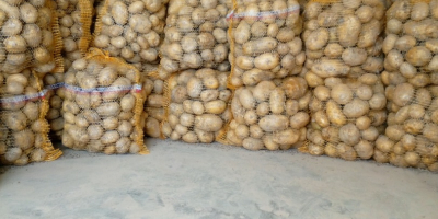 Vind cartofi comestibile ambalati 15 kg sau la comanda