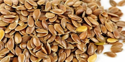 Oferim cereale de înaltă calitate (Lucernă, Fescue, SainfoinЮ, Ryegrass,