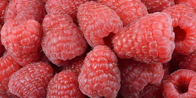 I will buy a raspberry for the industry in