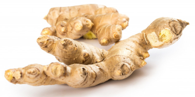 High Quality Ginger for Sale Here are 11 health