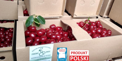 Polish cherries. The best quality & big size. Manual