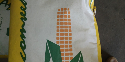 Distributore di semi di mais per piantare agricomseeds in