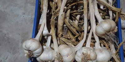 I&#39;m selling garlic. Packing depends on how the customer
