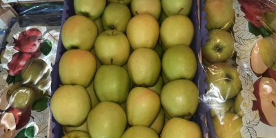 SELL FRESH FRUITS FRESH APPLES GOLDEN DELICIOUS, PRICE - AGRICULTURAL EXCHANGE, Agro-Market24