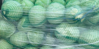 We offer white cabbage in boxes, bags, and wooden