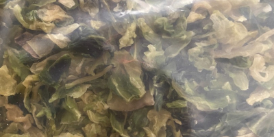 Dehydrated dried cabbage for sale. The dimensions are 10X10