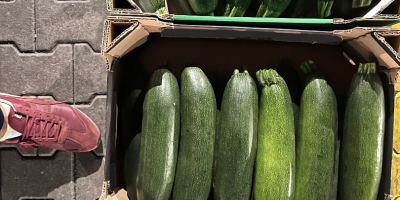 I will sell courgettes in any packaging, transport possible