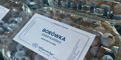 American blueberry for sale. Freshly picked. We deliver the