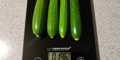 I offer for sale zucchini grown without fertilizer in
