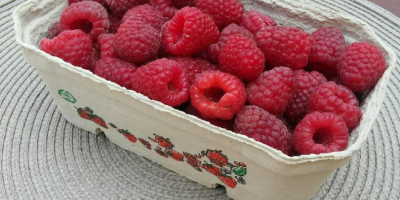 I sell home-grown raspberries, tasty, sweet, perfect for juices,