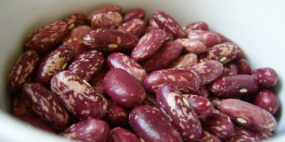 Red / colored beans packed in 25 kg bags