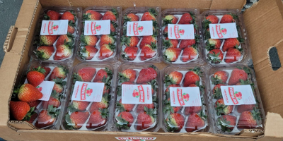 © wird frische oder gefrorene Erdbeeren erster Qualität für