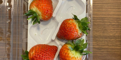 İ will sell first quality fresh or frozen strawberries