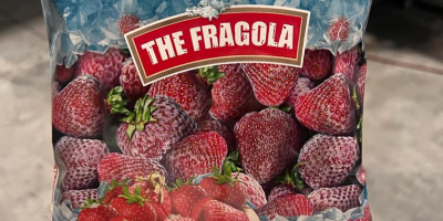 İ will sell first quality fresh or frozen strawberries