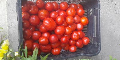 Ich verkaufe gemahlene Tomaten zum Preis von 4 PLN