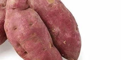 Słodki ziemniak Jesteśmy wiodącą afrykańską firmą eksportującą w dziedzinie produktów rolnych od 25 lat Dostarczamy wszelkiego rodzaju owoce i warzywa Chcielibyśmy przedstawić nasze słodkie ziemniaki Dane techniczne: Świeży słodki ziemniak Klasa A Kenijski Kolor: fioletowy, biały, pomarańczowy Rozmiar : 300gm ~ 600gm Odmiana: słodkie ziemniaki Certyfikat jakości: ISO / Global standard jakości Kształt: owalna lub wydłużona bulwa Opakowanie: Opakowanie: karton 5 lub 7 kg / 1000 WHATSAPP.#. +254 789 148175