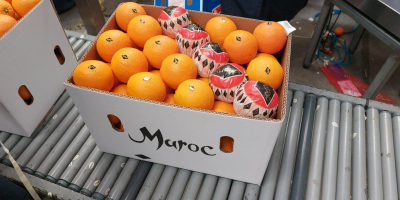 We offer Moroccan &quot;Valencia late&quot; oranges at special rates.