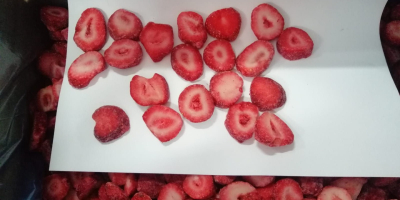 IQF Erdbeere zu verkaufen, Klasse: A, Herkunftsland: Türkei, Sorte:
