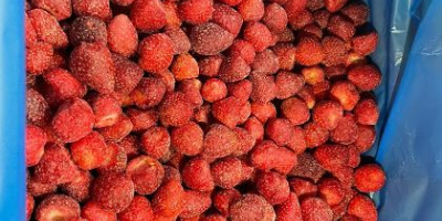 IQF strawberry for sale, class: A, country of origin: