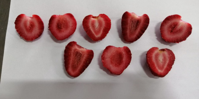 IQF Erdbeere zu verkaufen, Klasse: A, Herkunftsland: Türkei, Sorte: