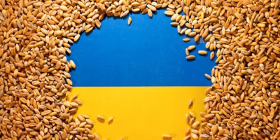 Die ukrainische Wirtschaft verkauft Weizen, Mais, Raps und Sonnenblumenkerne