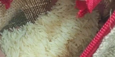 Abbiamo varietà di riso di buona qualità e quantità