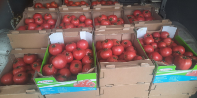 Hello, man for sale beautiful raspberry tomatoes from the