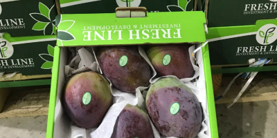 HAMDI от Египет, продава нашите пресни манго, сортове: Кийт,
